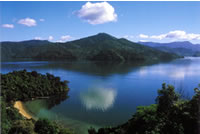 Spectacular Scenery of the Marlborough Sounds NZ