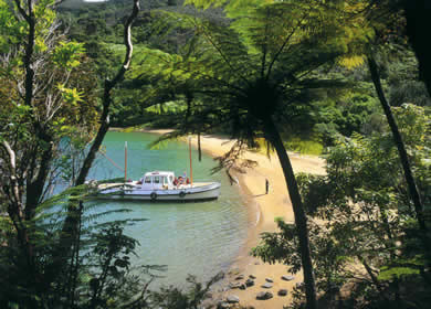 ecotours Marlborough Sounds