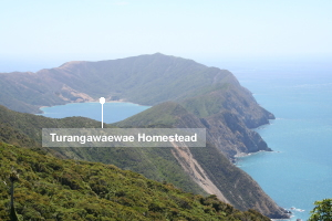 Ruapara Turangawaewae Homestead